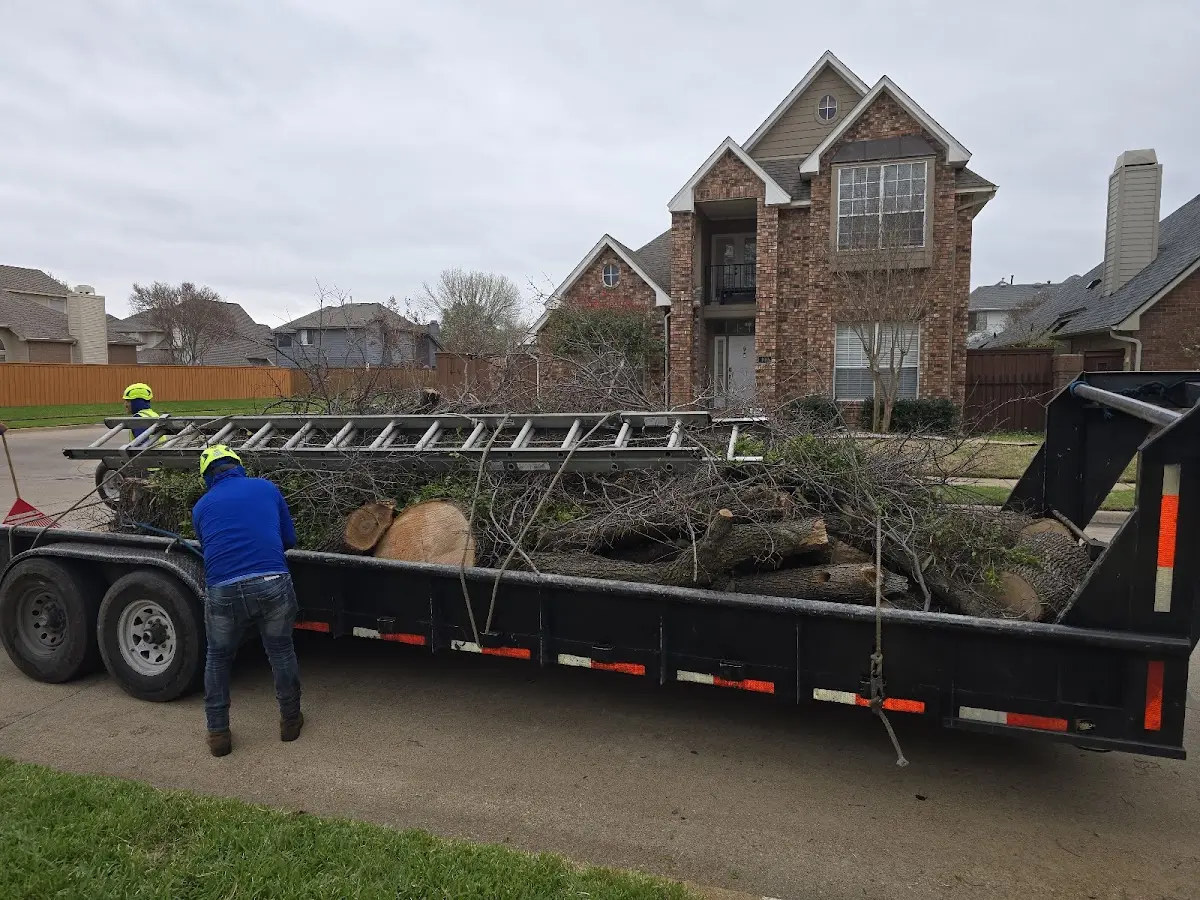 Expert Tree Pest Control with proper safety equipment in Spofford